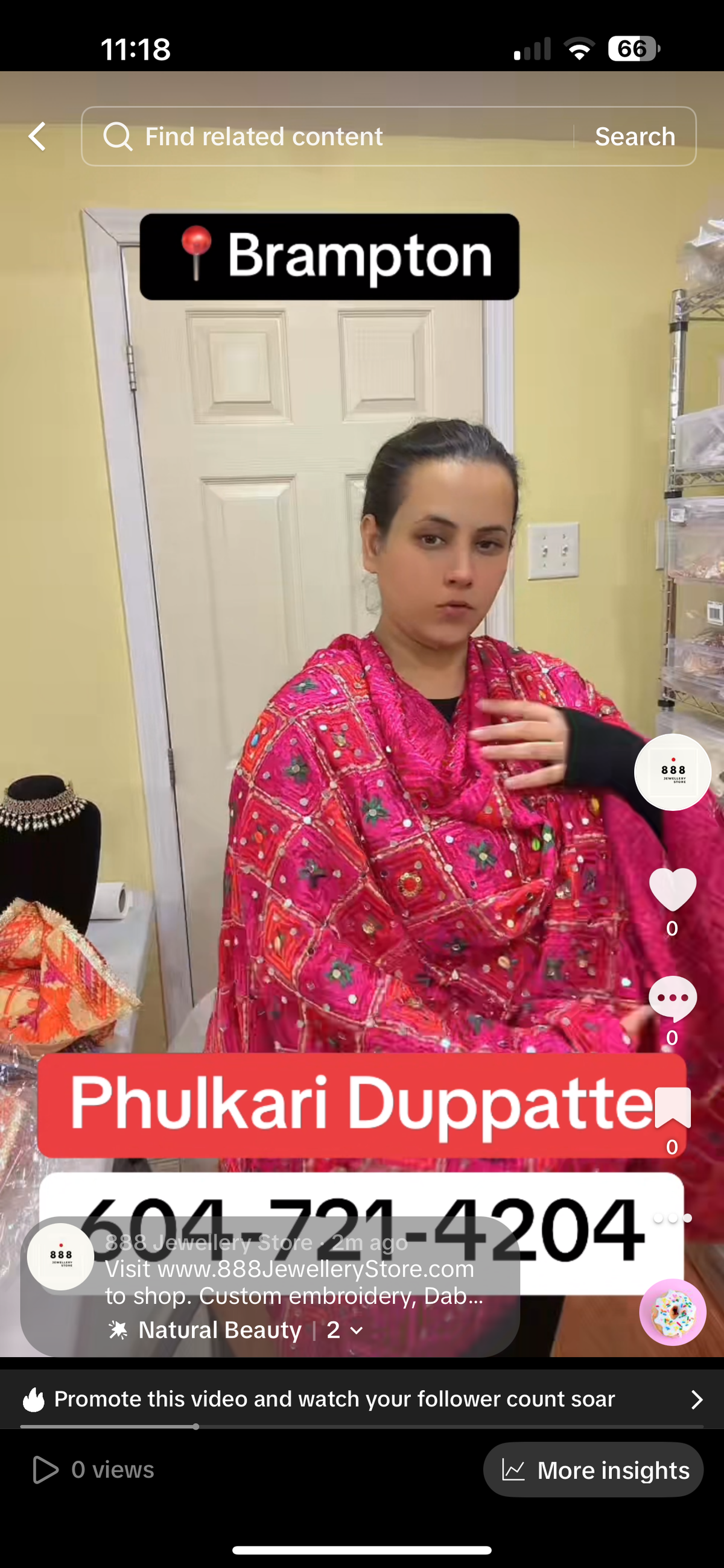 Shunk Phulkari
