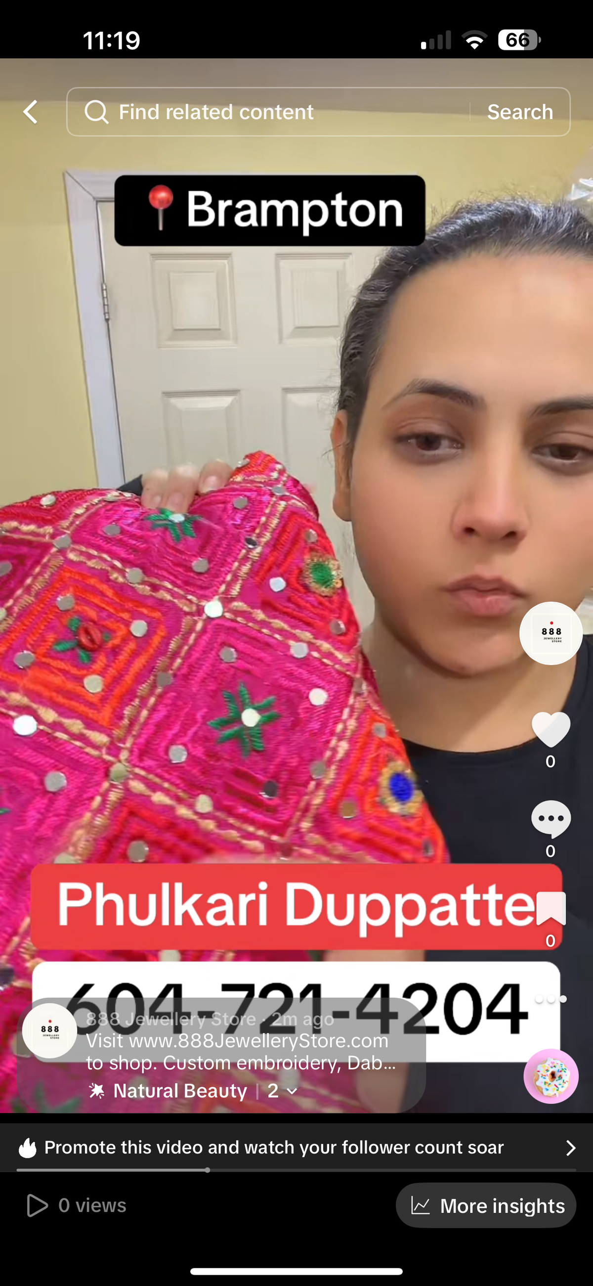 Shunk Phulkari